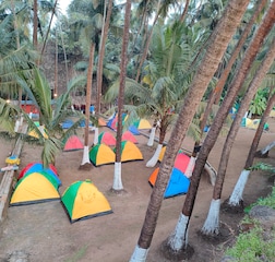 Couple Tent