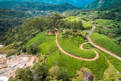 Viriparai British Tea Bungalow Munnar by VOYE HOMES, Munnar