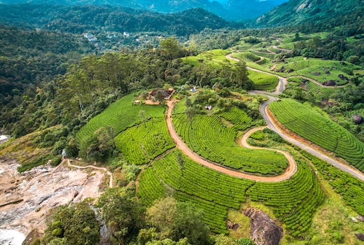 Viriparai British Tea Bungalow Munnar by VOYE HOMES