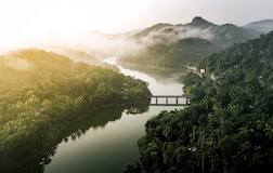 Tree house Room with Lake View