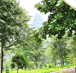 Mountain View Luxury Tent 4 Persons