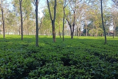 Deeshari Aronnyak Homestay, Lataguri