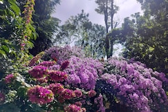 Birdsong Estate Stay, Coorg