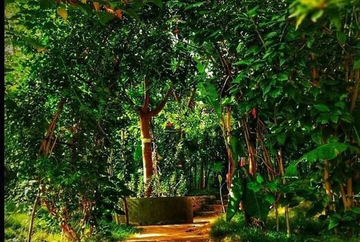 Adventures Unlimited - Nature Adventure Camp