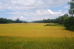 Golden Sea Flower, Gokarna
