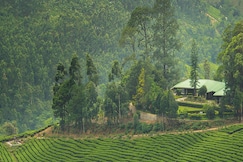 Talayar Bungalow | Restaurant & Lawn, Marayoor