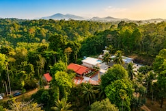 Twisted Tree by Alaya Stays ,Coorg, Coorg