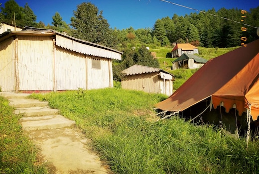 Kaudia Adventure  Camp