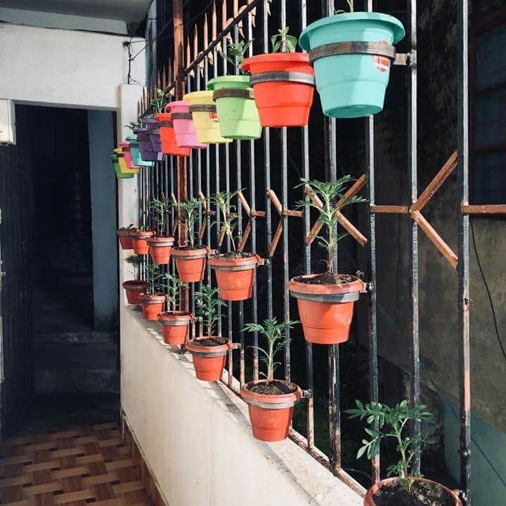Constantia Cottage Homestay Kurseong Inr 1440 Off 6 0 0 0