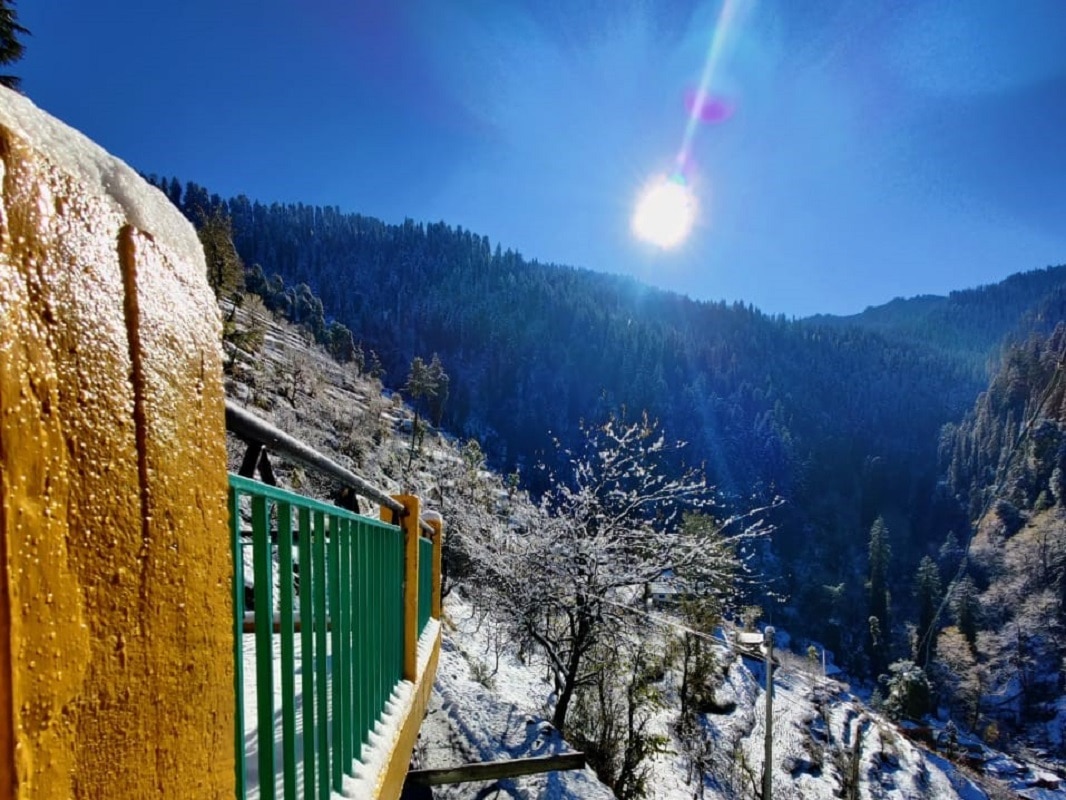 Photos Of No Society Cafe And Homestay Rooms Wi Fi Cottage In Jibhi