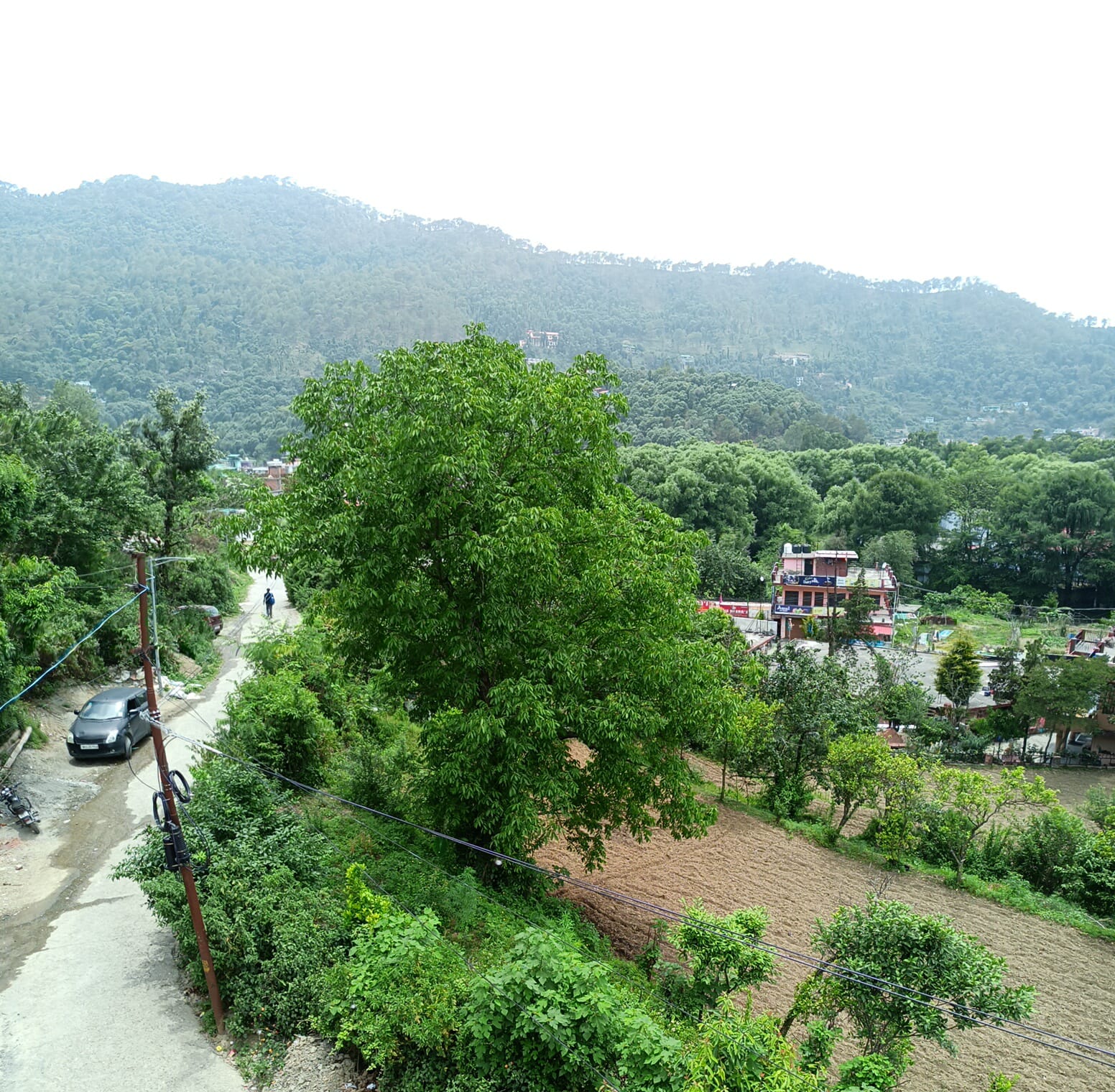 HERB CLUB HOMESTAY - Tap to explore photos