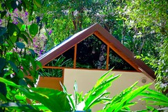 Nature Heals, Munnar
