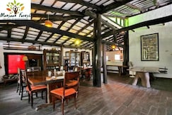 Monsoon Forest (Bandhavgarh), Bandhavgarh