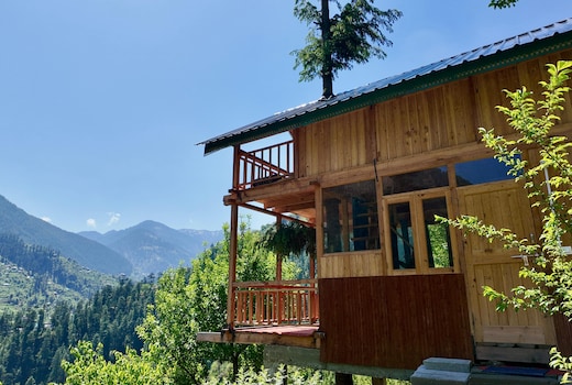 Dreamwood Treehouse