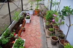 AadiYogi Homestay- Family-Friendly Retreat, Ujjain