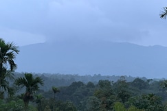 Aambalvilla, Wayanad