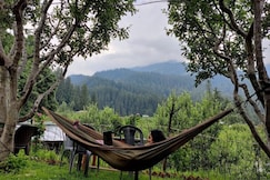 Majestic House and Bonkers on the go Cafe, Tosh