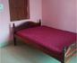 BNT Dharamshala - Tap to explore photos