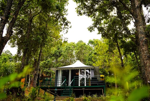 2 Luxury Tents in Majkhali - Chinar and Deodar