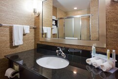 Holiday Inn Express & Suites Rochester , Olmsted