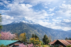 Kaafal tree cottage and resturant, Chopta