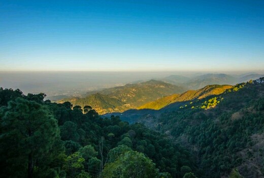 Eden Woods Kasauli