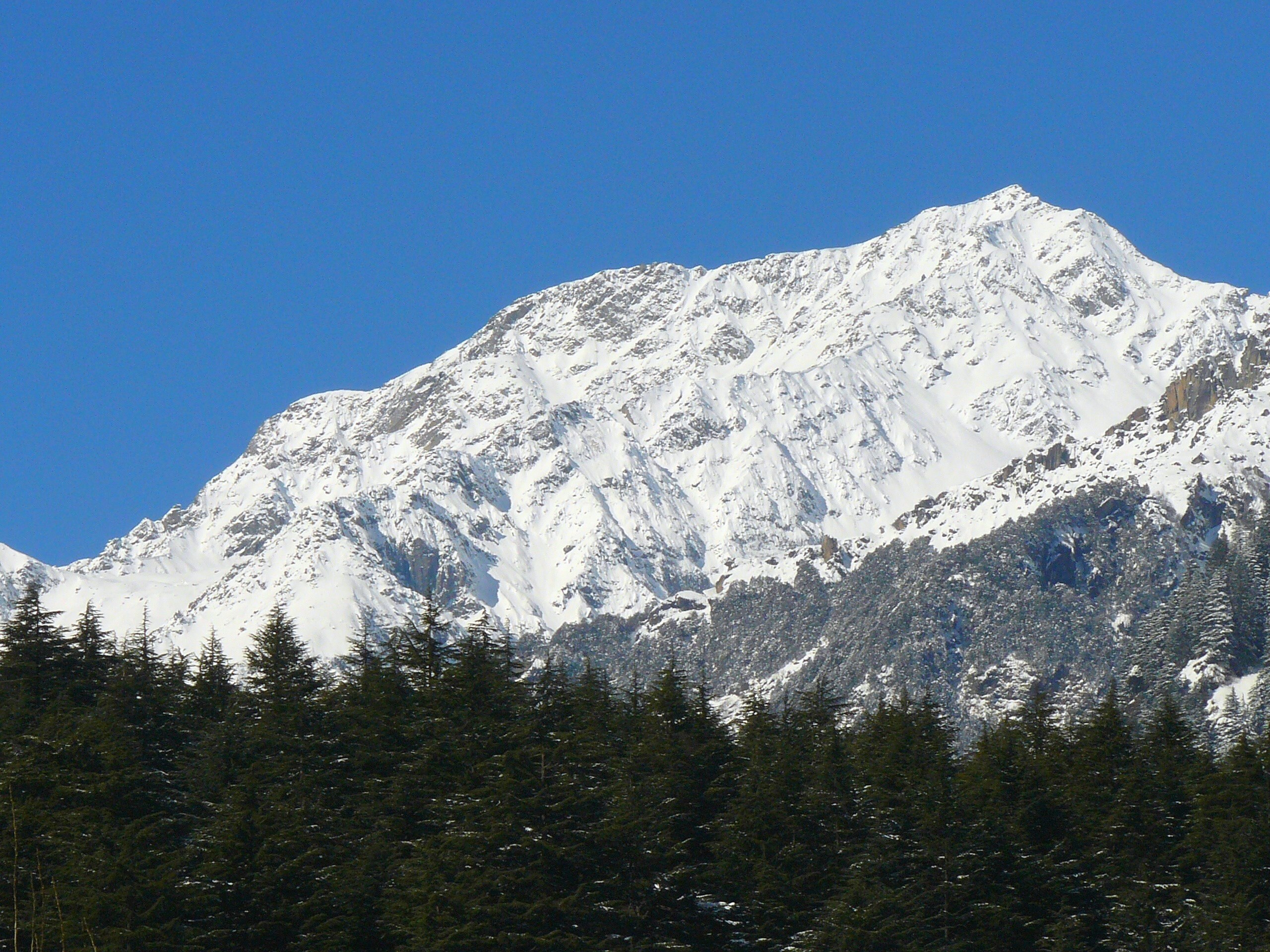 Kotyong Home stay - Tap to explore photos