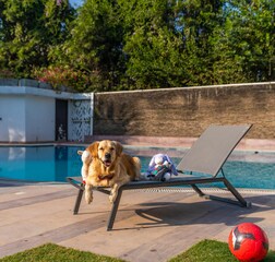 Swimming Pool 1