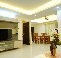 Living Room 1