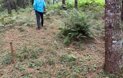 Common Area