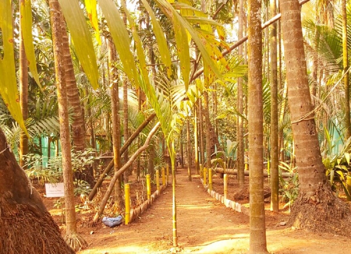 Naikvadi Cottage 4