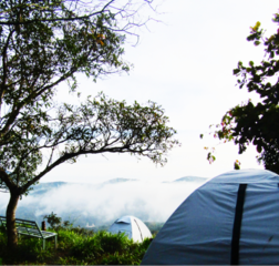 Tent Camping