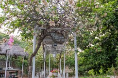 The Little Yellow Butterfly farm retreat, Manesar