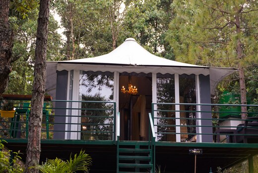 2 Luxury Tents in Majkhali - Buransh and Apricot 