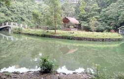 Outdoors