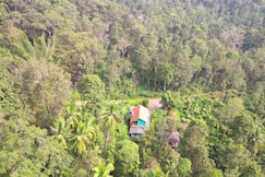 VMJ Wild Stay, Wayanad