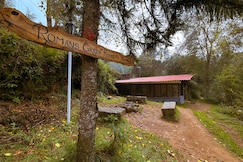 Romans greenhouse, Kodaikanal