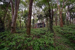 Cove by Raho: Nestled Away Retreat, Coorg
