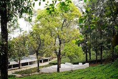 Wayanad De Mount Resort by RAK Rooms, Wayanad