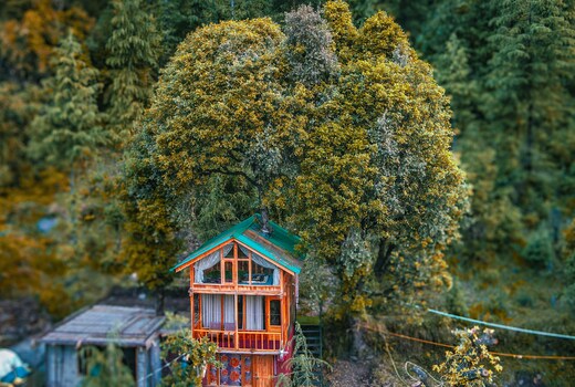 WOW Duplex Treehouse