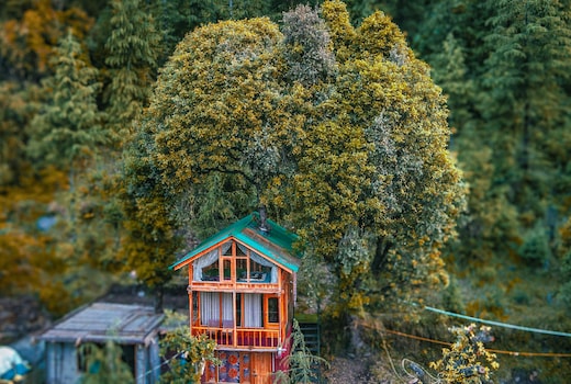 WOW Duplex Treehouse