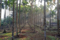 Green Woods, Murud Janjira
