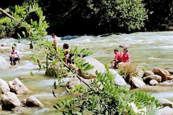 Bisht Niwas Guest House, Gushaini