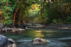Vana Swara, Kolad