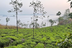 Tree House @ Thumpayil Hills Plantation Vagamon, Vagamon