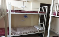 Dormitory Beds