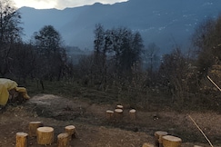 The Green Steps, Kullu
