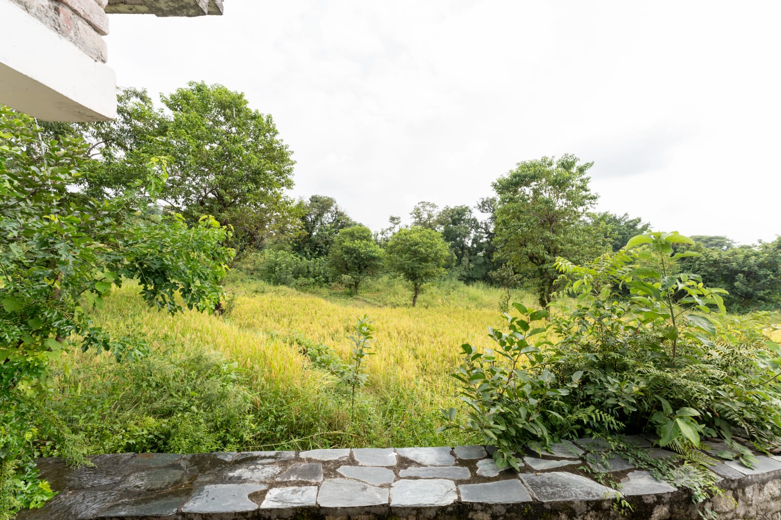 Devbala Cottage & Organic Firm - Tap to explore photos