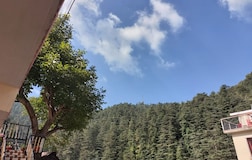 Fores t-view Deluxe Room