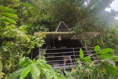 HOBBITON CAMPING, Munnar